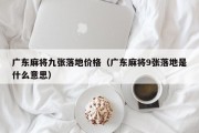 广东麻将九张落地价格（广东麻将9张落地是什么意思）
