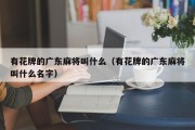 有花牌的广东麻将叫什么（有花牌的广东麻将叫什么名字）