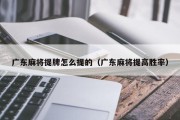 广东麻将提牌怎么提的（广东麻将提高胜率）