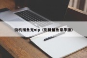 街机捕鱼充vip（街机捕鱼豪华版）
