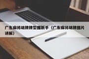 广东麻将胡牌牌型图新手（广东麻将胡牌图片讲解）