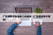 广东麻将开始推牌了吗视频（广东麻将新手规则）