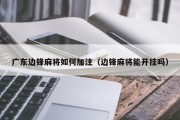 广东边锋麻将如何加注（边锋麻将能开挂吗）