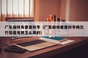 广东麻将有春夏秋冬（广东麻将春夏秋冬梅兰竹菊是鬼牌怎么用的）