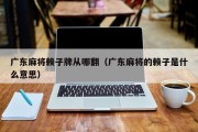 广东麻将赖子牌从哪翻（广东麻将的赖子是什么意思）