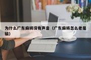 为什么广东麻将没有声音（广东麻将怎么老是输）