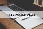 广东阳江麻将怎么玩的（阳江麻演）