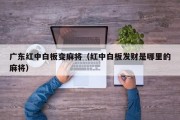 广东红中白板变麻将（红中白板发财是哪里的麻将）