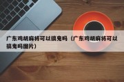 广东鸡胡麻将可以搞鬼吗（广东鸡胡麻将可以搞鬼吗图片）