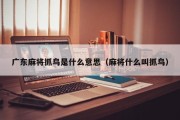 广东麻将抓鸟是什么意思（麻将什么叫抓鸟）